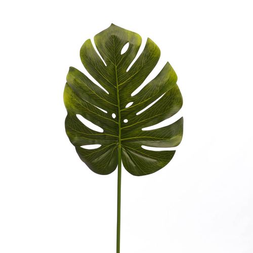 Flor Leaf Monstera M 4