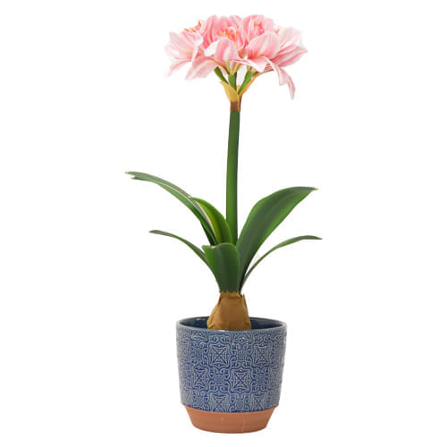 Planta Artificial C Maceta Blanca 58Cm
