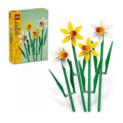 Flores Narcisos