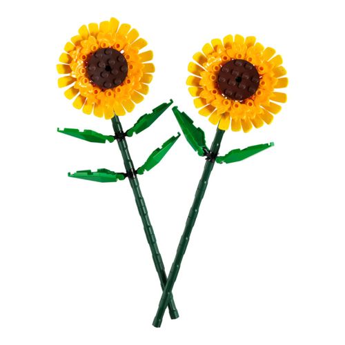 Girasoles
