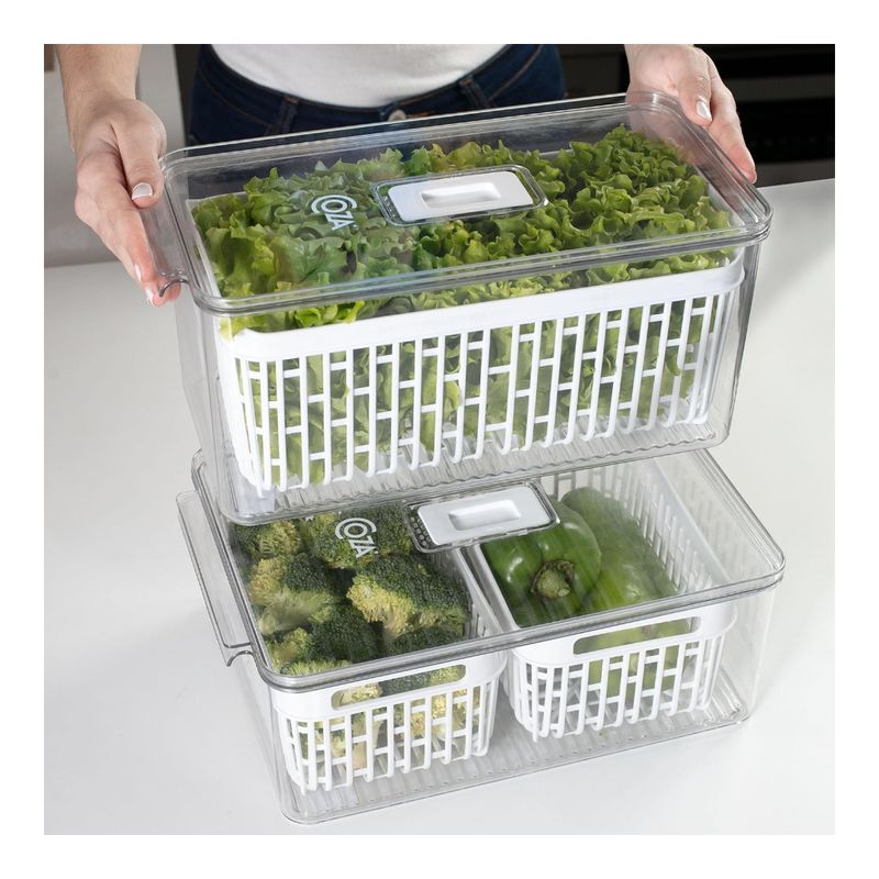 Contenedor%20Almacen%20P%20%20Heladera%206L%20Cr