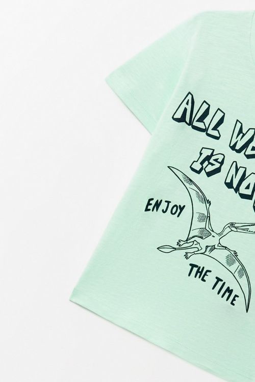 Remera Print Dino