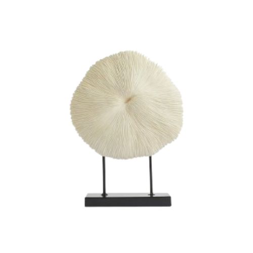 Figura Coral Redondo Plano Y Base  Blanco