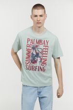 Remera%20%20Palmbay