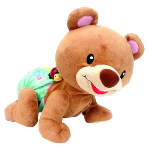 Osito Gateos Nueva Americana