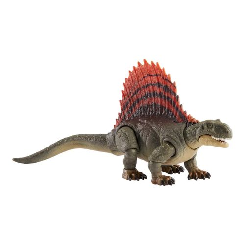 Hammond Collection Dimetrodon