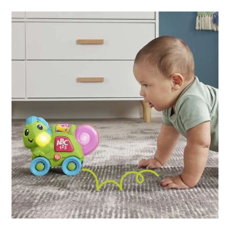 Escuadron%20Musical%20Camale%C3%B3n%20Gatea%20Conmigo