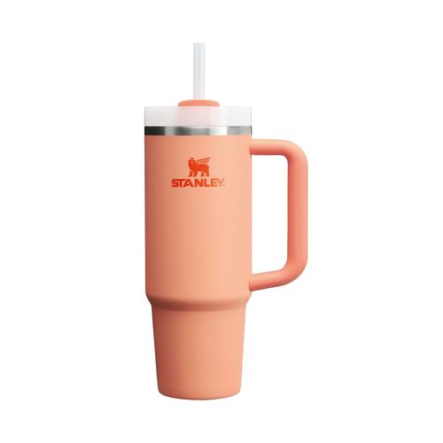 Quencher H2 0 Flowstate 880 Ml Necterine
