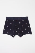 Boxer%20Bicicalaveras