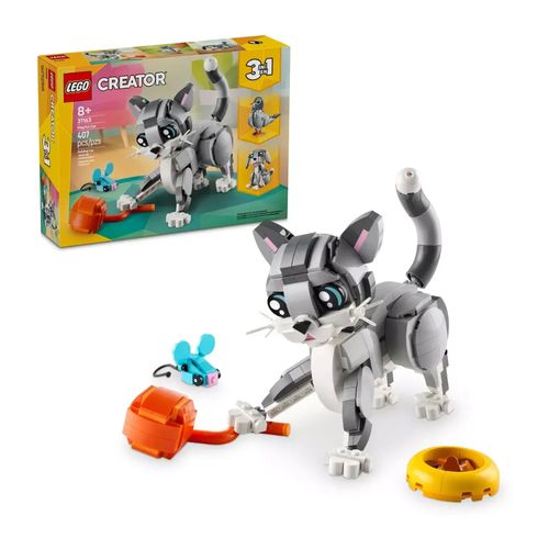 Gato Juguetón