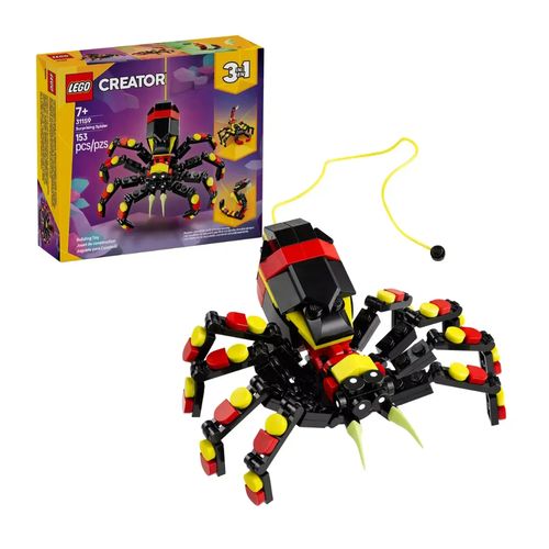 Fauna Salvaje Araña Misteriosa