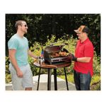 Parrilla%20A%20Gas%20Port%C3%A1til%20Grillster