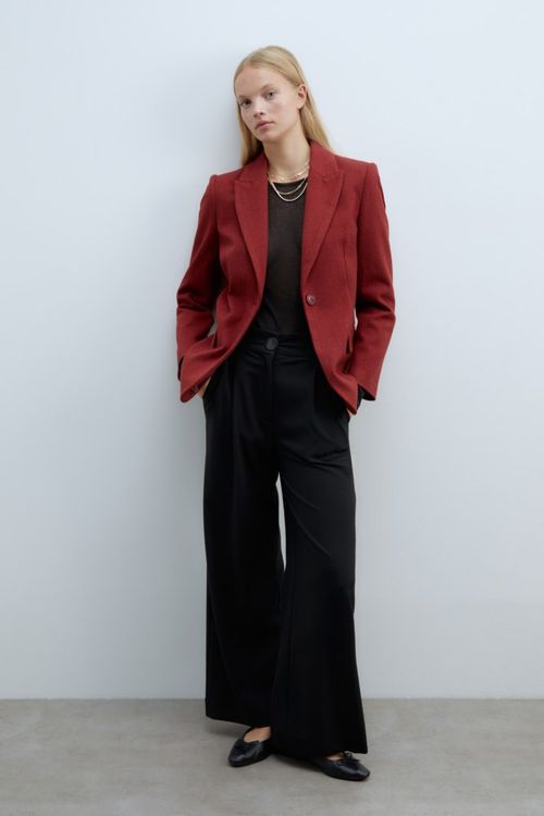 Pantalón Pinzas