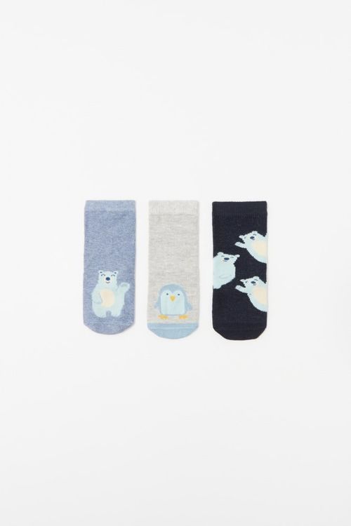 Media Oso Pinguino
