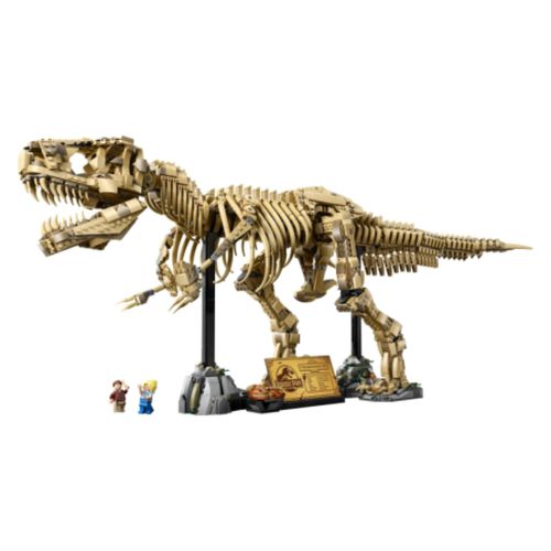 Fósiles De Dinosaurio Tyrannosaurus Rex