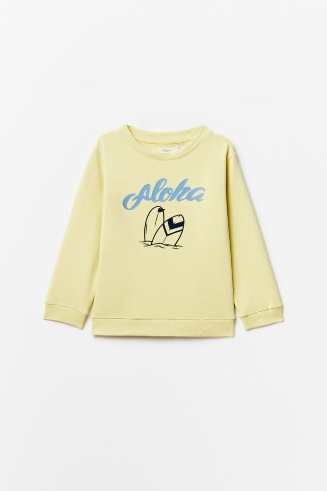 Sudadera%20Basica%20Print