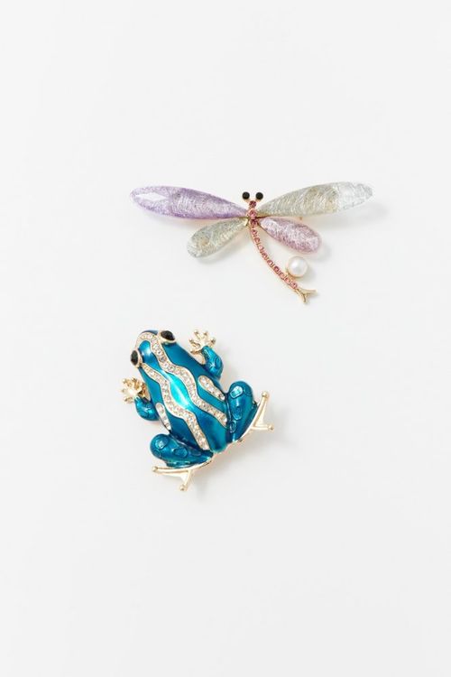 Set2 Broches Rana Libelula