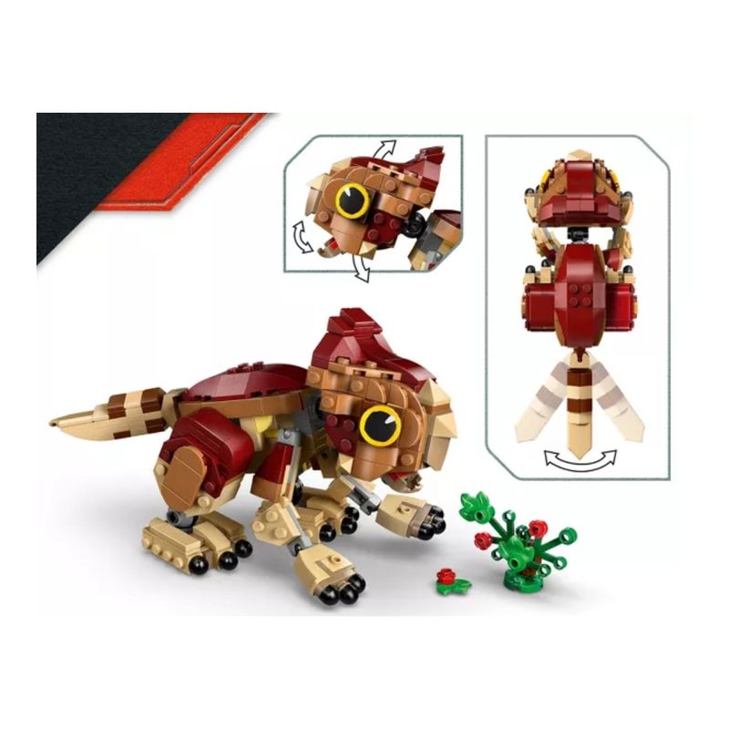 Dolores%20Beb%C3%A9%3A%20Aquilops