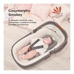 Coj%C3%ADn%20Morfol%C3%B3gico%20Cosymorpho%20Smokey%20Fresh