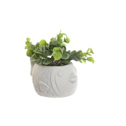 Planta Cemento Pe 14X9X18 Pez 2 Surt.