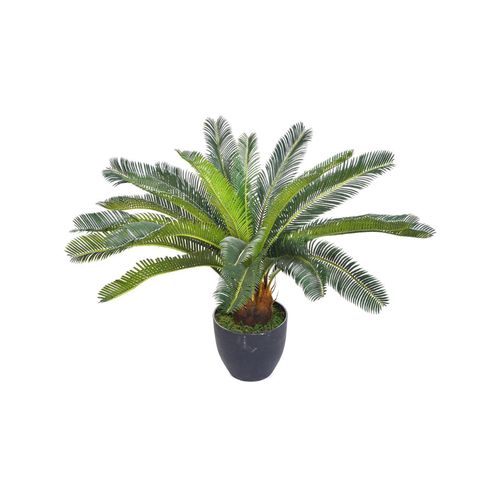 Planta Palma Con Pote 60Cm
