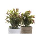 Planta%20Pe%20Eva%2016X16X21%202%20Surt