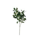 Ramo%20Decor%2036X18X66Cm