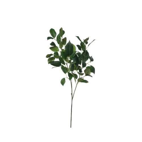 Ramo Decor 36X18X66Cm