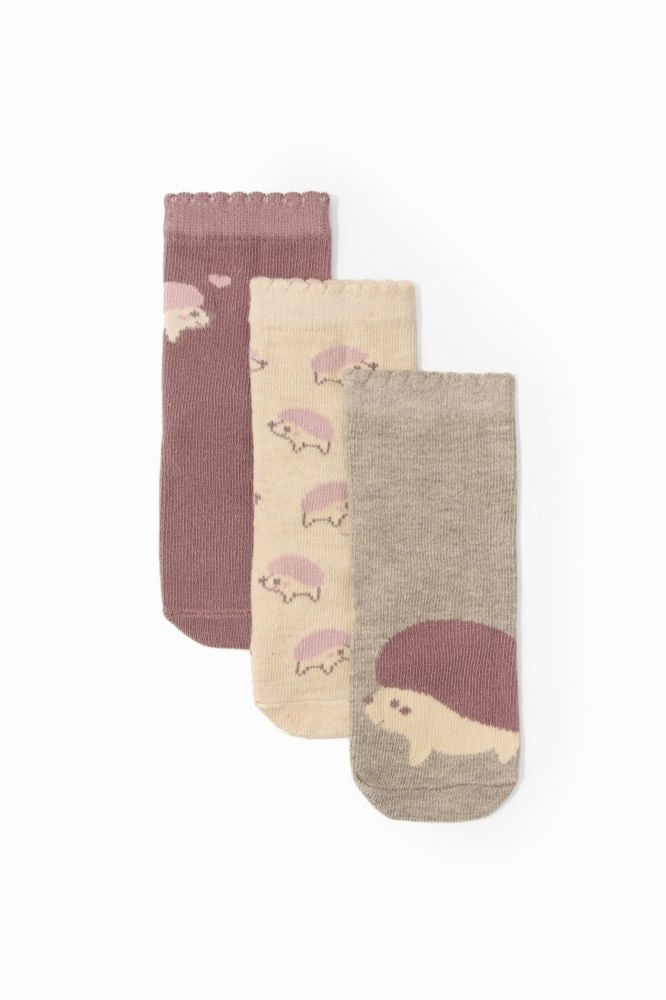 Pack 3 Calcetines Erizo Bb